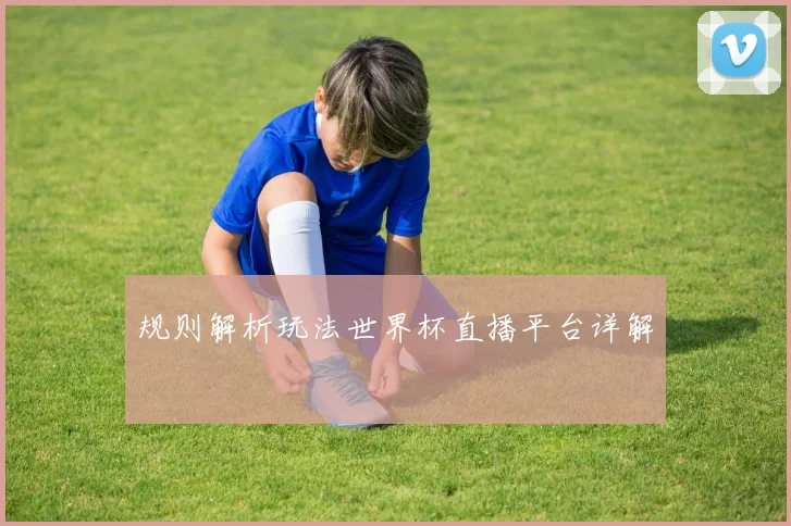 规则解析玩法世界杯直播平台详解